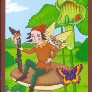 Elf Boy & Friends Card