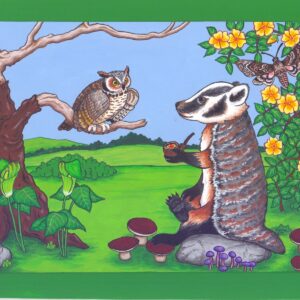 Badger and Owl Card